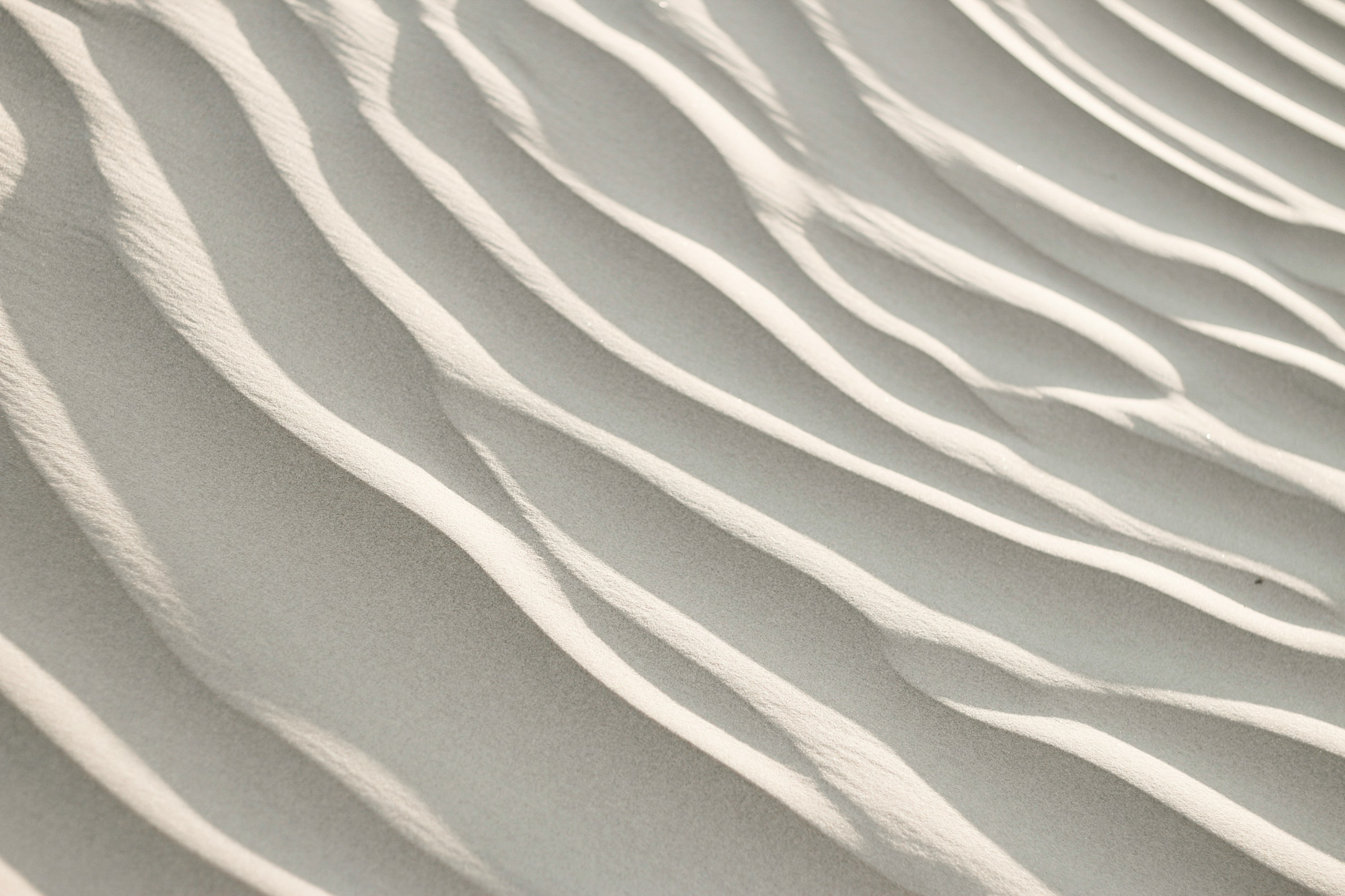 Decorative image Photo by Sumner Mahaffey on Unsplash
